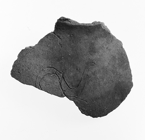 今治市新谷森ノ前遺跡出土 壺の体部に描かれた龍
